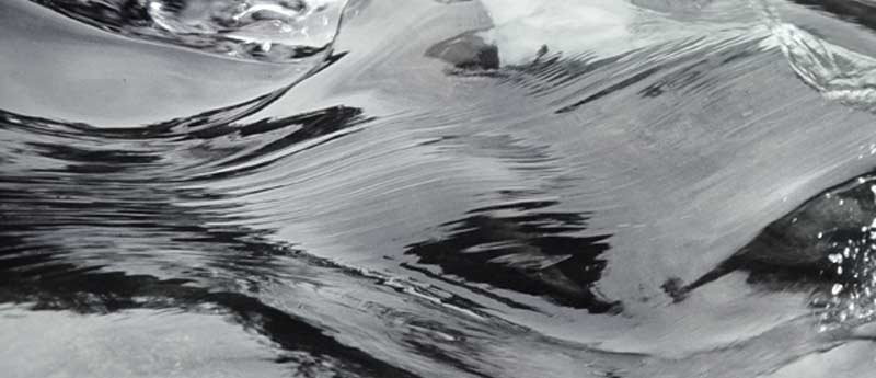 Wasser ist der Ursprung allen Lebens Osteopathie Berlin